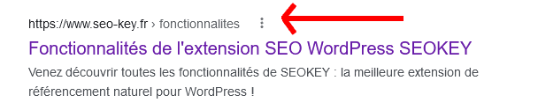 Capture d'écran de Google avec l'affichage d'un résultat du site SEOKEY prenant en compte la balisage Schema.org BreadCrumbs